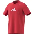 Adidas Category Graphic Kortarmet T-skjorte