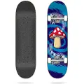 Flip Penny Classic 7.87´´x31.6´´ Skateboard