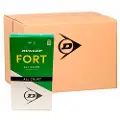 Dunlop Tb Fort All Court Ts 2x4pet Tennisballboks