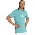 Adidas Padel Categroy Graphic Kortarmet T-skjorte