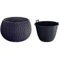Prosperplast Splofy Bowl 47.8x47.8x30 Cm Blomsterpotte