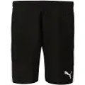 Puma Teamliga Shorts