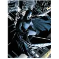 Blue Sky Studios Batman Dc Comics Krystallplakat
