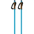 Fischer Storm Gtx M Spaserstokker