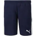 Puma Teamliga Shorts