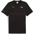 Puma F1 Graphic Tee Men, Clothing, Black, L