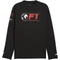 Puma F1 Longsleeve Tee Men, Clothing, Black, L