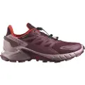 Salomon Supercross 4 Goretex Trailsko