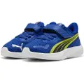 Puma Pounce Ac+ Løpesko