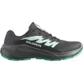 Salomon Alphaglide Goretex Trailsko