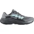 Salomon Alphaglide Goretex Trailsko