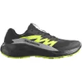 Salomon Alphaglide Goretex Trailsko