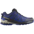 Salomon Xa Pro 3d V9 Goretex Trailsko