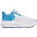 Under Armour Charged Rogue 5 Løpesko