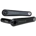 Praxis Zayante Carbon Krankarm