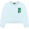 DKNY D35s49 Collegegenser