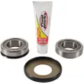 Pivot Works Suz.rm 125 06-07/250 06-08 Styrelagersett