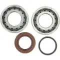Hotrods Ktm 2005-2010 250 Sx-f Veivaksel Lager Og Tetningssett