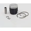 VERTEX Cm D40 Stempel