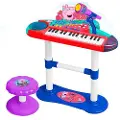 Claudio Reig With Microphone Stand And Bench Piano