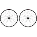 Massi Venom Replica 2 Ms12 29´´ 6b Disc Mtb-hjulsett