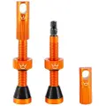 Chris King Peaty´s Tubeless Ventiler