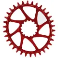 Garbaruk E*thirteen Boost Ovalt Drev