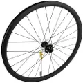 Specialized Roval Control 29´´ 6b Disc Terrengsykkel Forhjul