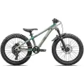 Specialized P1 Trail 20´´ Advent 2025 Sykkel
