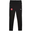 Puma Girona Fc Teamcup Shorts