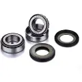 FACTORY LINKS Honda Crf300l Styrelagersett