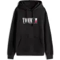 Tommy Hilfiger Graphic Regualar Fit Hettegenser