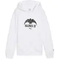 Puma Valencia Cf Football Culture Junior Hettegenser