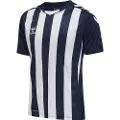 Hummel Core Xk Striped Kortarmet T-skjorte