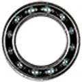 Ceramicspeed 17287 Single Lager