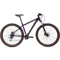 Coluer Ascent 294 29´´ Altus 2023 Terrengsykkel