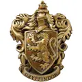 Pyramid Harry Potter Gryffindor Harpiks Skjold 20x28 Cm