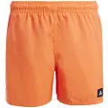 Adidas 3 Stripes Badebukse