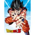 SD Toys Dragon Ball Z Skilpadde Goku Plakat