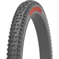 Chaoyang Persuader Wet Tubeless 29´´ X 2.40 Mtb-dekk