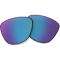 Oakley Mann Frogskins Replacement Lenses
