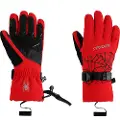 Spyder Overweb Hansker