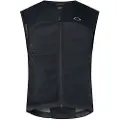 Oakley Apparel Snowbound D3o Back Guard Beskyttelsesvest