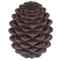 TIAKI intelligens leketøy kongle - L 12 x B 9 x H 9 cm