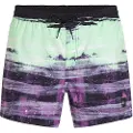 O'Neill Cali Gradient 15'' Boardshorts