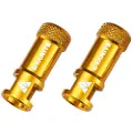 Granite Juicy Nipple Presta Ventilhette 50 Enheter