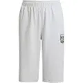 Adidas X Minecraft Shorts