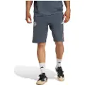 Adidas Fc Bayern Us Pack Shorts