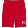 Puma Ess Logo Lab 10´´ Sports Shorts