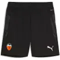 Puma Valencia Cf 25/26 Trening Shorts